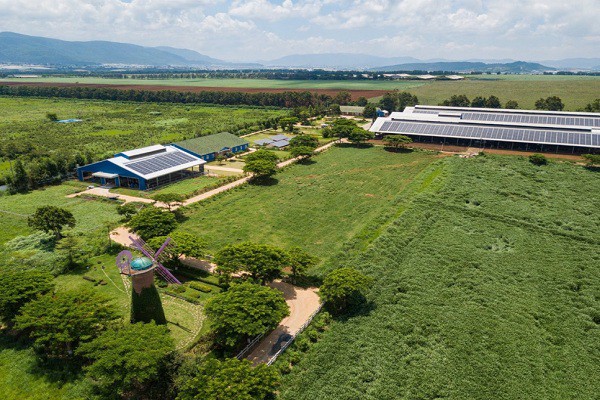 Vinamilk - Doanh nghiệp duy nhất trong ngành sữa nhận Giải thưởng Môi trường Việt Nam