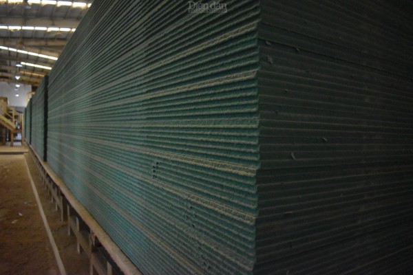 Ấn tượng với không gian xanh của MDF Quảng Trị