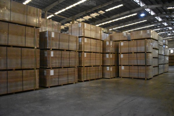 Ấn tượng với không gian xanh của MDF Quảng Trị