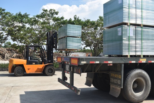 Ấn tượng với không gian xanh của MDF Quảng Trị