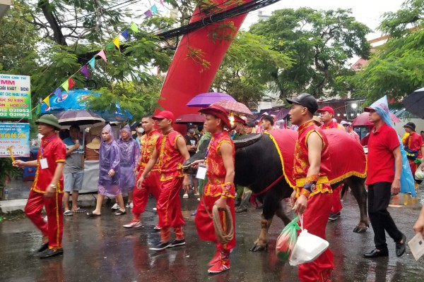 Hải Phòng: Hàng nghìn người chen chân xem chọi trâu Đồ Sơn