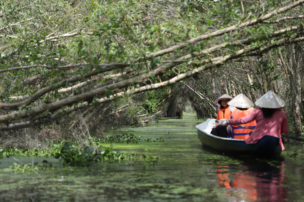 Bồng bềnh Tân Lập
