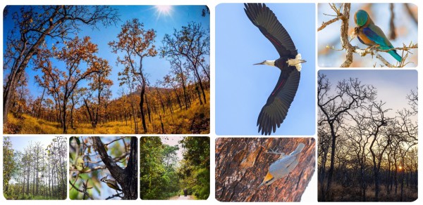 Những kỷ lục bất biến Những kỷ lục bất biến