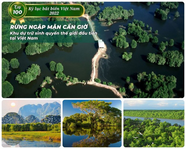 Những kỷ lục bất biến Những kỷ lục bất biến