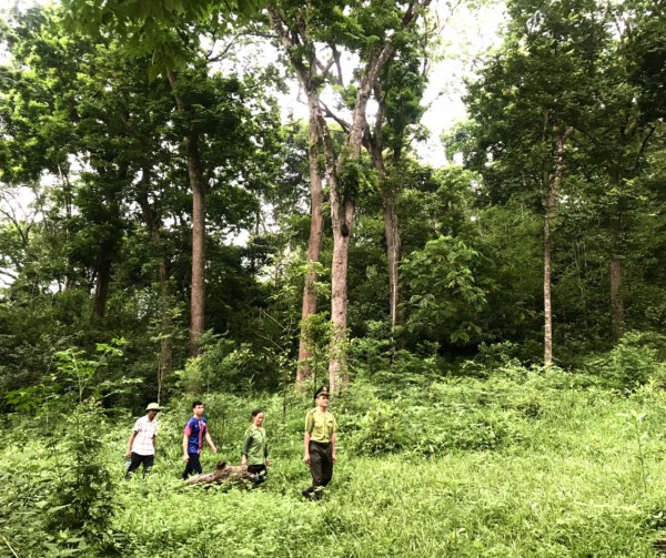 Bắc Giang: Khám phá khu rừng thiêng làng Đá Húc ở Lục Nam