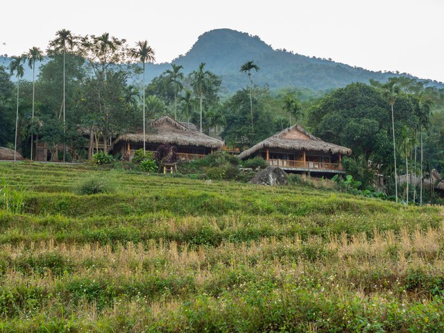 Khách Tây đi tìm cánh đồng lúa đẹp nhất Việt Nam: Chặng đường dài nhưng quá xứng đáng - Ảnh 6.