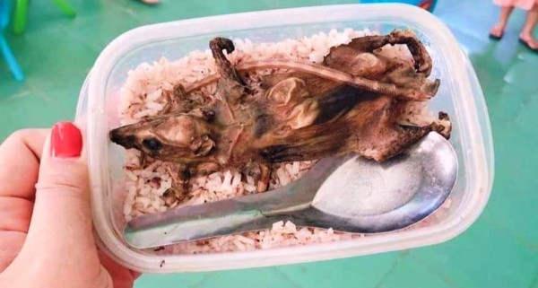 Bức ảnh học sinh ‘ăn cơm chỉ với thịt chuột’ được chụp từ 3 năm trước