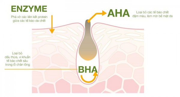 Tẩy tế bào chết vật lý và hóa học - Cách nào hay cả hai cho làn da?