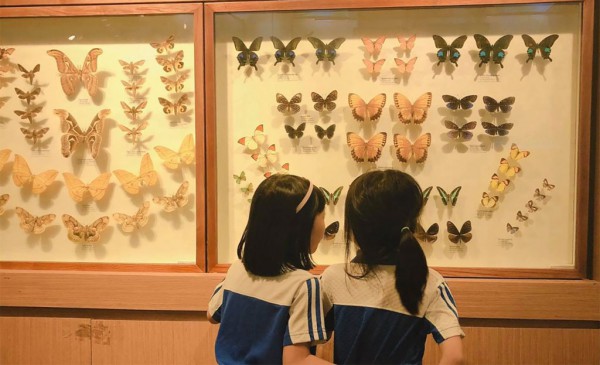 Bảo tàng gặp khó đủ đường