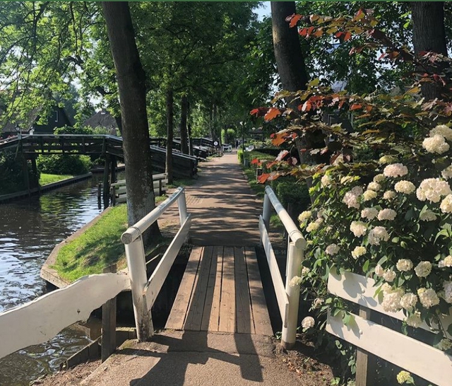 Vẻ đẹp chữa lành hiếm có tại ngôi làng không một bóng ô tô, sử dụng phương tiện đi lại hoàn toàn khác biệt - Ảnh 6.