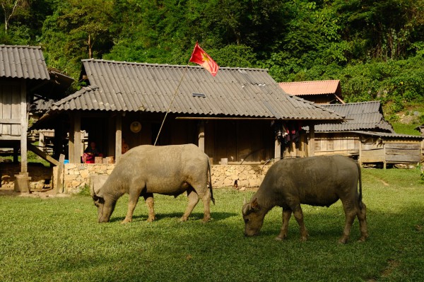 Có gì ở 