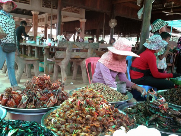 Đi Campuchia ăn nhện, sâu, gián... chiên giòn