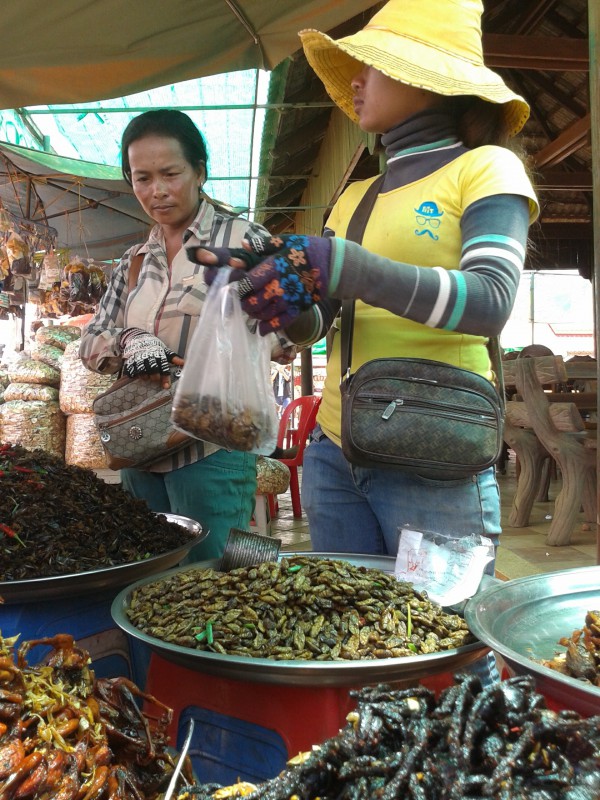 Đi Campuchia ăn nhện, sâu, gián... chiên giòn