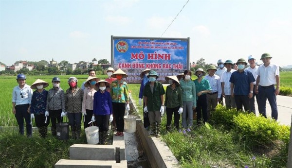 Cánh đồng không rác thải