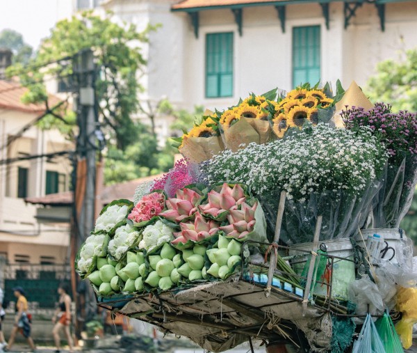 Đẹp nao lòng Hà Nội vào thu