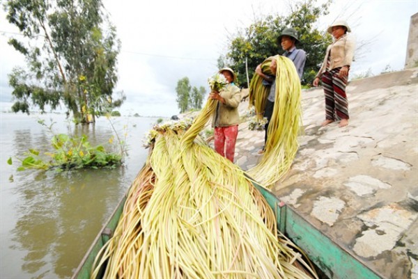 Những sản vật dân dã gợi nhớ mùa nước nổi miền Tây