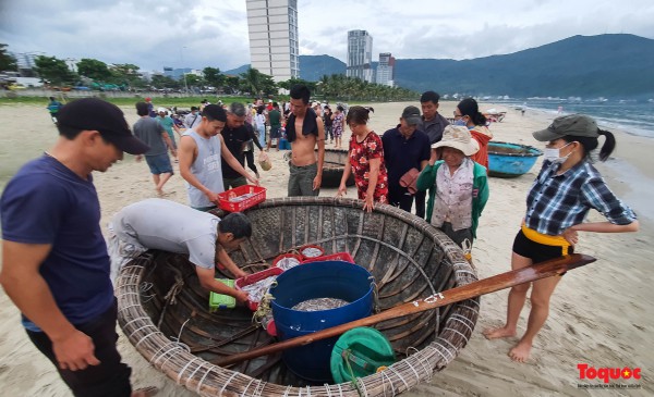 Ảnh: Hải sản tươi rói ở chợ bên bờ biển Đà Nẵng lúc bình minh