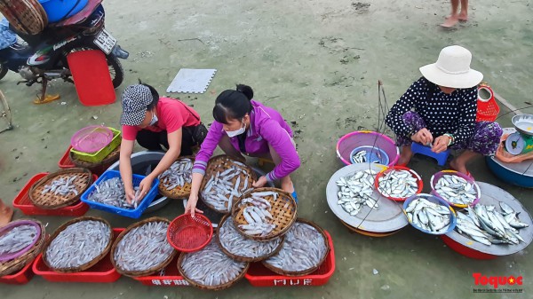 Ảnh: Hải sản tươi rói ở chợ bên bờ biển Đà Nẵng lúc bình minh