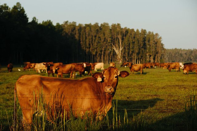 Mỹ đang thiếu đất xây nhà  - Ảnh 2.