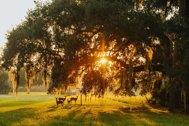 Mỹ đang thiếu đất xây nhà  - Ảnh 3.