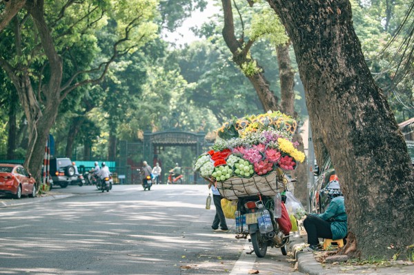 Báo Mỹ 