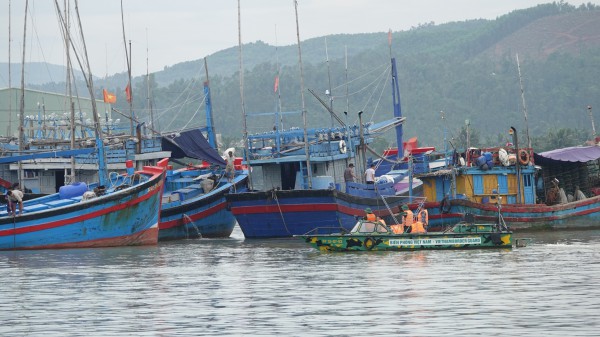 Bão Noru: Bình Định lập sở chỉ huy tiền phương tại cảng cá Tam Quan