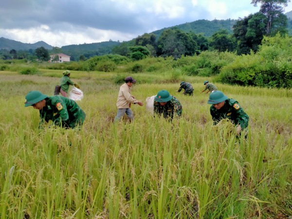 Bão Noru: Quảng Trị đâu cũng thấy chiến sĩ biên phòng giúp dân phòng bão