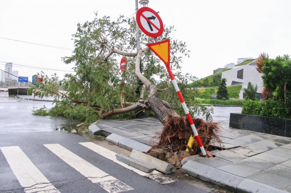 Bão số 4 Noru: Lực lượng vũ trang Đà Nẵng nỗ lực khắc phục hậu quả Bão số 4 Noru: Lực lượng vũ trang Đà Nẵng nỗ lực khắc phục hậu quả