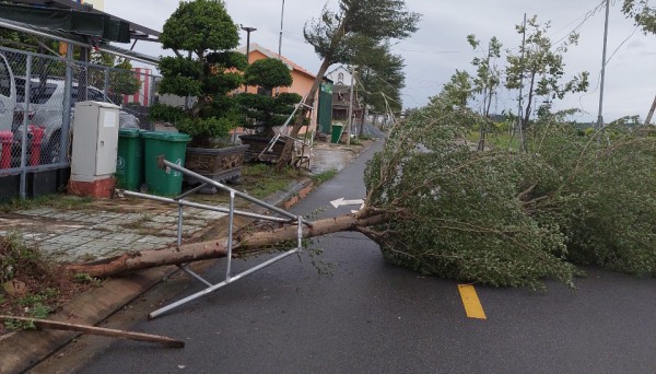 Quảng Ngãi: Bão số 4 Noru quét qua, nhiều nhà bị tốc mái, cây xanh ngã rạp