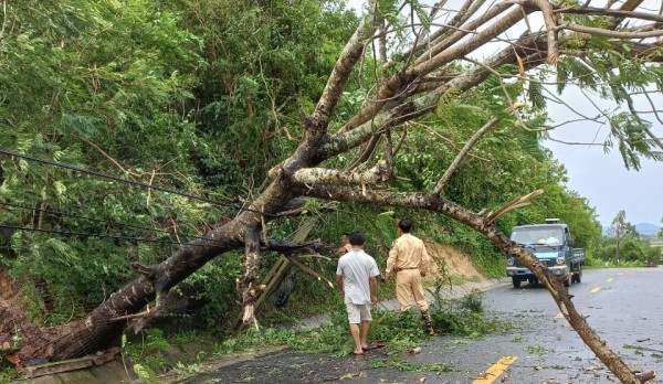 Quảng Ngãi: Bão số 4 Noru quét qua, nhiều nhà bị tốc mái, cây xanh ngã rạp