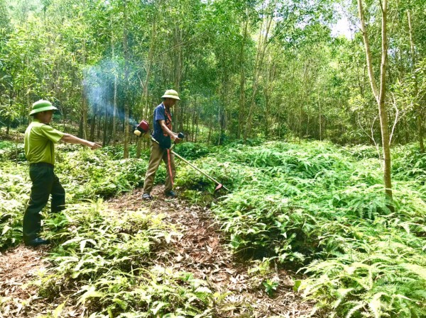 Bắc Giang: Hạt Kiểm lâm Tân - Việt - Hòa thi công hạ cấp thực bì phòng, chống cháy rừng năm 2022