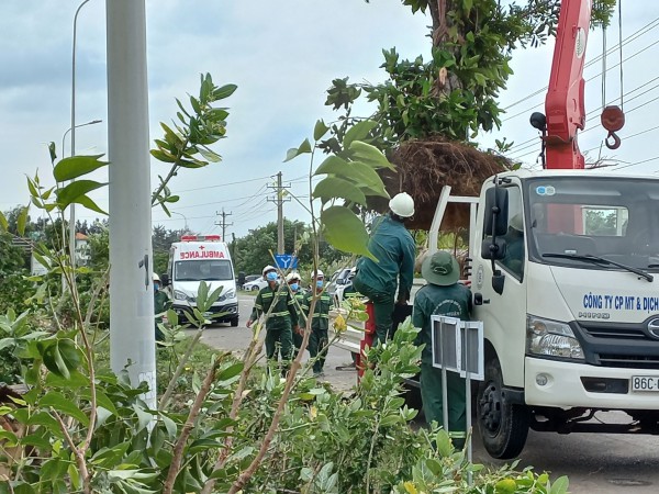 Gần 200 người tham gia cưỡng chế 15.817 m2 đất Trần Thị Ngọc Nữ lấn, chiếm của nhà nước