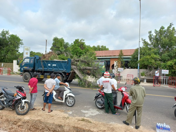 Gần 200 người tham gia cưỡng chế 15.817 m2 đất Trần Thị Ngọc Nữ lấn, chiếm của nhà nước