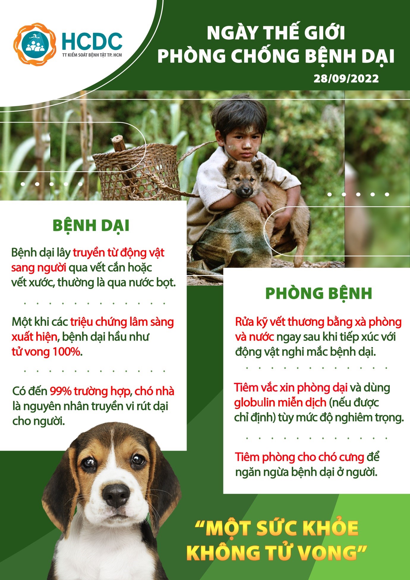 Ngày Thế giới Phòng chống bệnh Dại năm 2022: Một sức khỏe, không tử vong Ngày Thế giới Phòng chống bệnh Dại năm 2022: Một sức khỏe, không tử vong