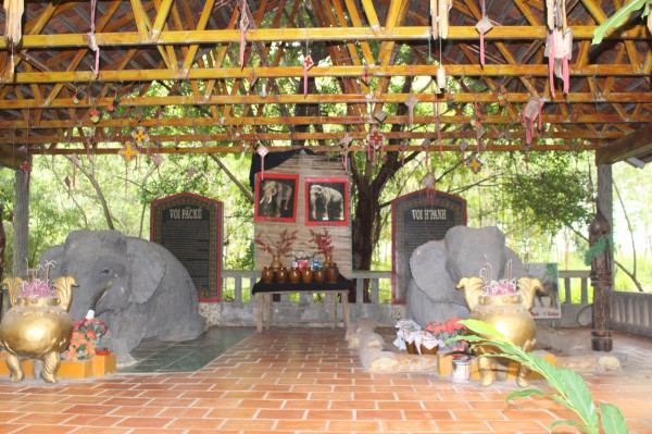 Buôn Đôn, bình minh trên mái nhà sàn…
