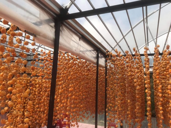 Lên Đà Lạt nhâm nhi món hồng treo gió mọng đỏ