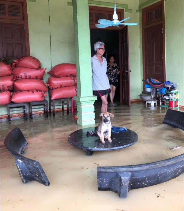 Nghệ An: Vỡ đê kênh thấp tại huyện Hưng Nguyên