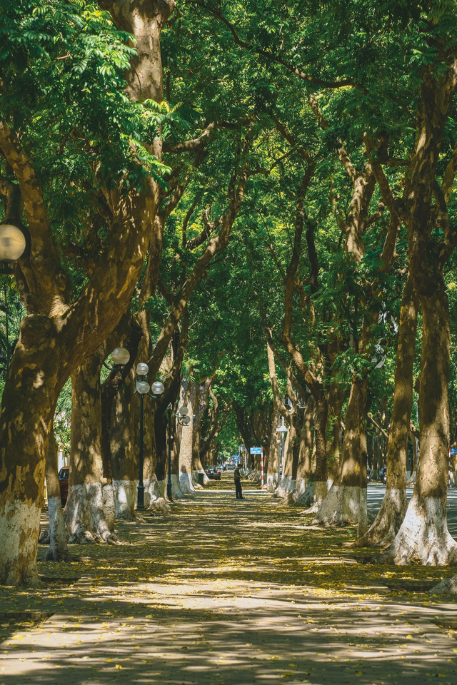 Những khoảnh khắc đẹp đến nao lòng của trời thu Hà Nội khiến ai cũng phải ngẩn ngơ  - Ảnh 3.