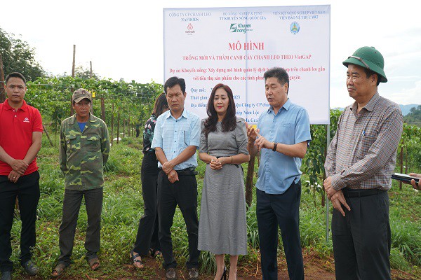 Doanh nghiệp Gia Lai "khát" sản phẩm hữu cơ