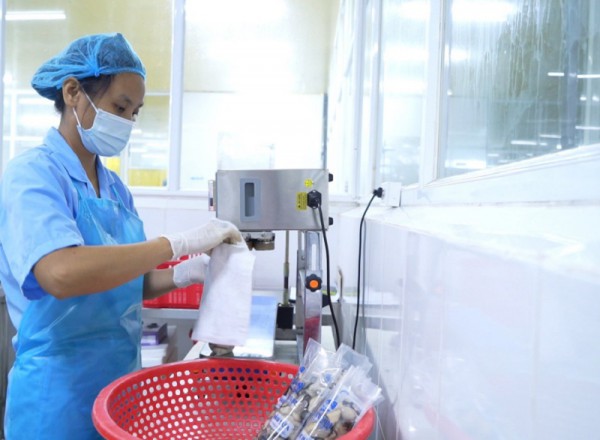 Doanh nghiệp Quảng Ninh đẩy mạnh đầu tư khoa học công nghệ