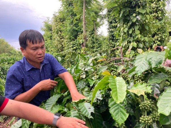 Doanh nghiệp chia sẻ kinh nghiệm “kết nối để phát triển bền vững” Doanh nghiệp chia sẻ kinh nghiệm “kết nối để phát triển bền vững”