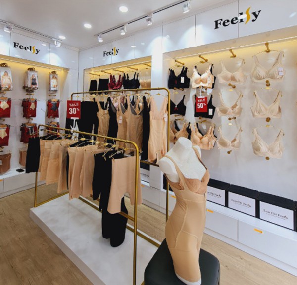 Lan Chi Feelsy thay đổi nhận diện: Cột mốc phát triển mới