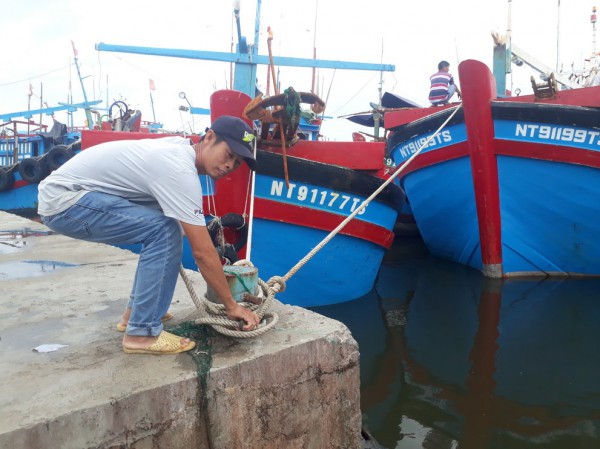 Ninh Thuận: Tránh bão số 4, xem xét ban lệnh cấm biển vào chiều nay 26.9