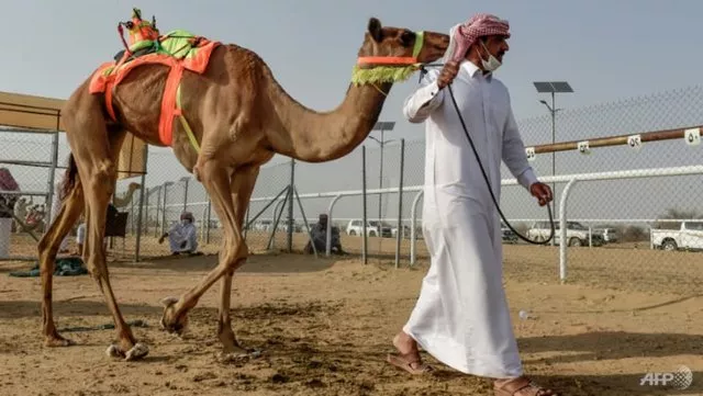 Saudi Arabia gấp rút chuẩn bị đón làn sóng bùng nổ du lịch - Ảnh 1. Saudi Arabia gấp rút chuẩn bị đón làn sóng bùng nổ du lịch - Ảnh 1.