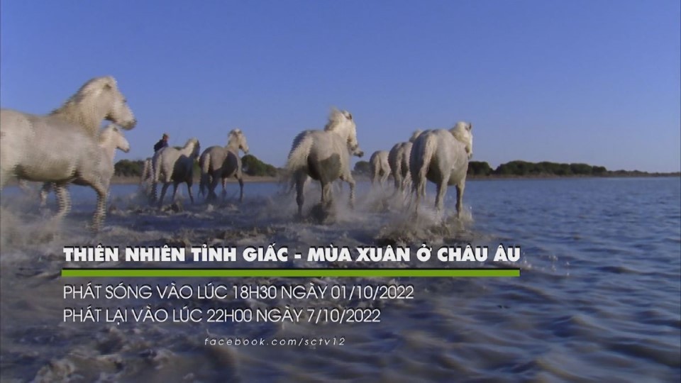 thien-nhien-tinh-giac-mua-xuan-chau-au