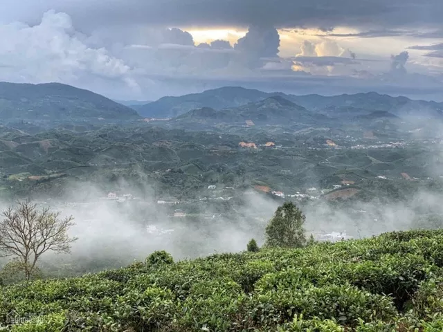 Giới trẻ truy lùng điểm &quot;thưởng mây ngắm cảnh&quot; đầy mộng mơ ở Bảo Lộc  - Ảnh 1.