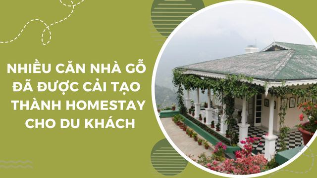 Ấn tượng tour du lịch trải nghiệm tại trang trại trồng chè ở Ấn Độ   - Ảnh 5.