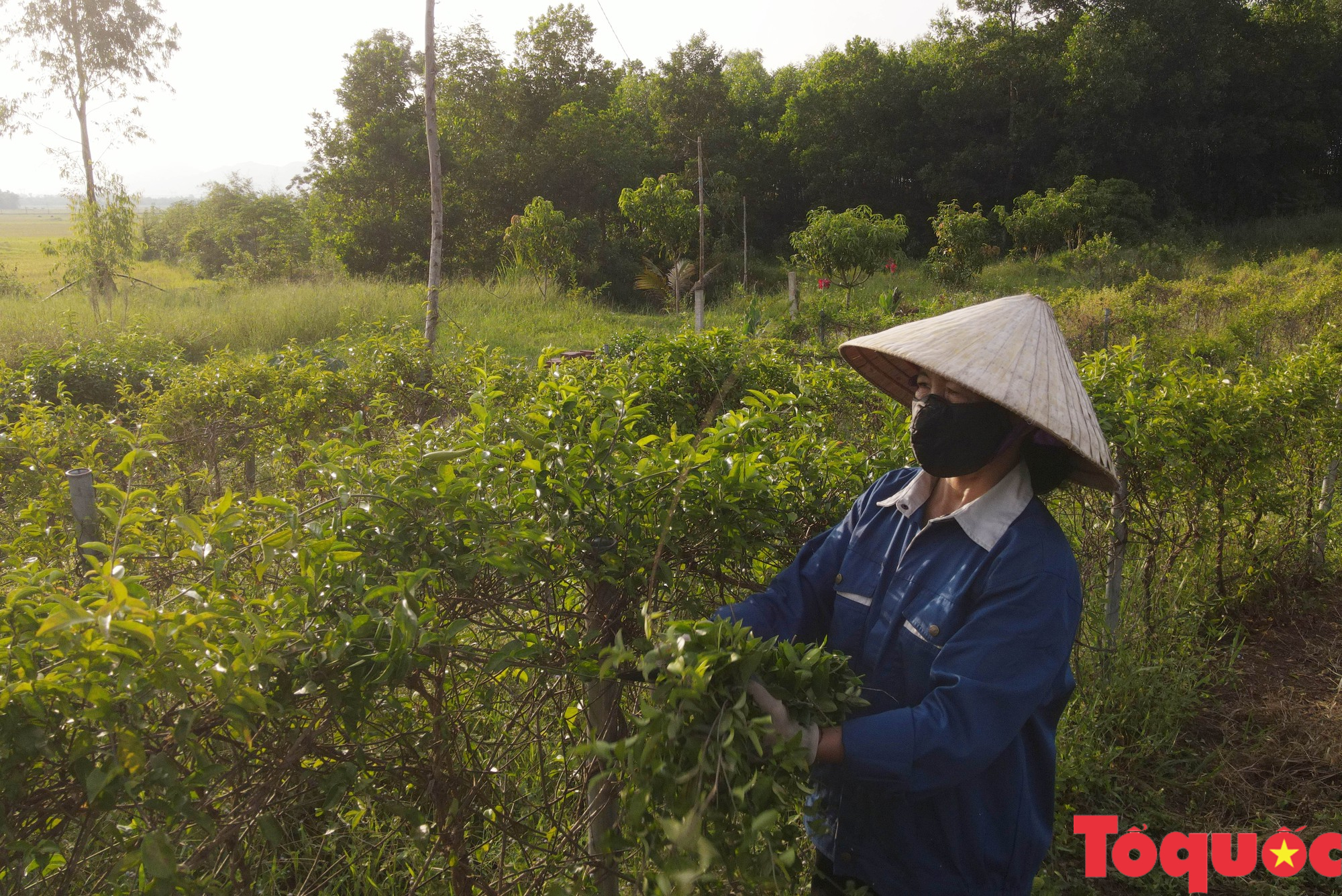 Chuyện ghi ở &quot;trái tim&quot; du lịch Quảng Bình: Khát vọng làm du lịch ở &quot;làng chiến đấu kiểu mẫu&quot; - Ảnh 7.