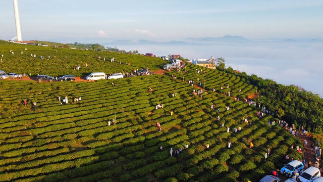 Đà Lạt sáng 2/9: đông nghịt người dân thành công &quot;săn&quot; biển mây đẹp mê hồn - Ảnh 6.