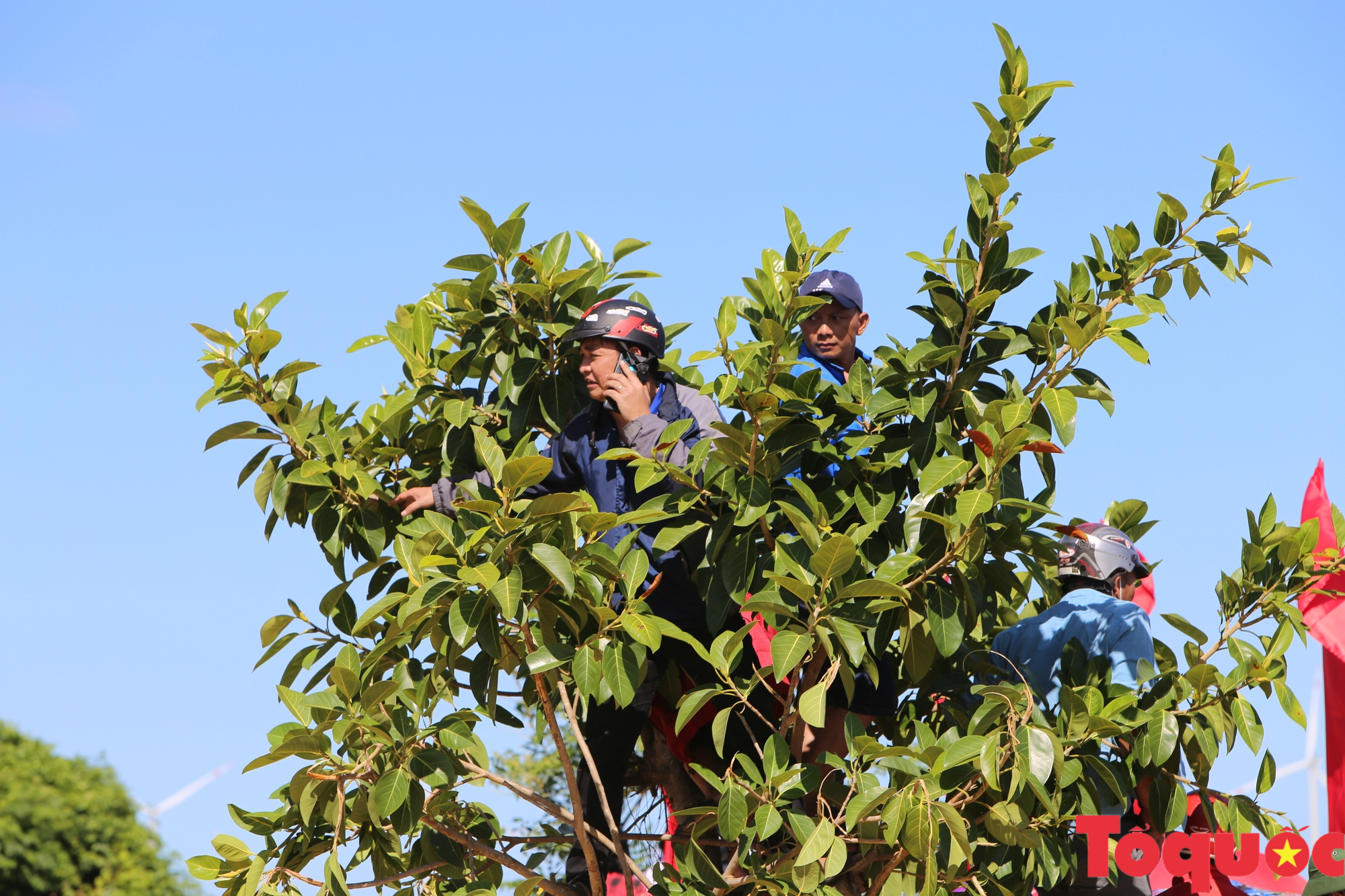 Quảng Bình: Lễ hội "Đua thuyền truyền thống trên sông Nhật Lệ" là di sản văn hoá phi vật thể quốc gia - Ảnh 15.